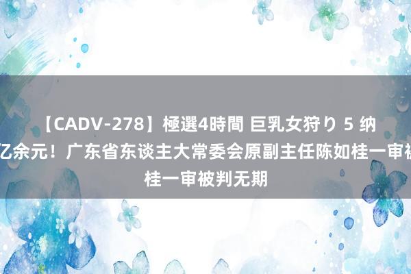 【CADV-278】極選4時間 巨乳女狩り 5 纳贿1.08亿余元！广东省东谈主大常委会原副主任陈如桂一审被判无期