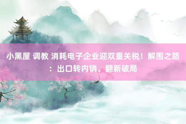 小黑屋 调教 消耗电子企业迎双重关税！解围之路：出口转内销、翻新破局
