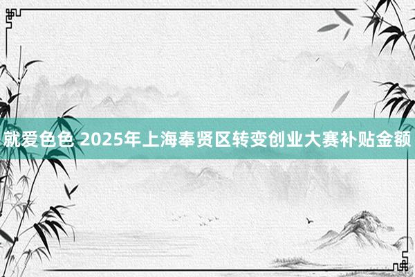 就爱色色 2025年上海奉贤区转变创业大赛补贴金额