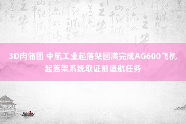 3D肉蒲团 中航工业起落架圆满完成AG600飞机起落架系统取证前适航任务