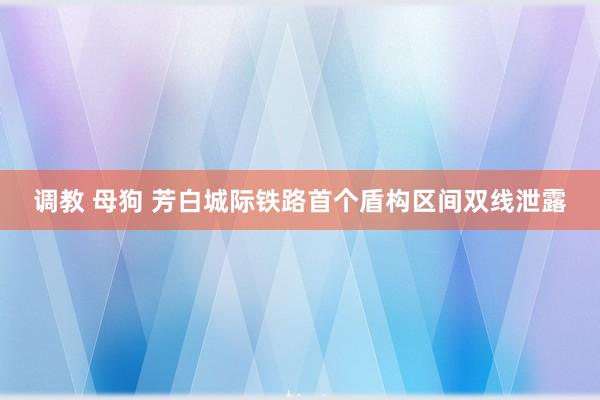 调教 母狗 芳白城际铁路首个盾构区间双线泄露