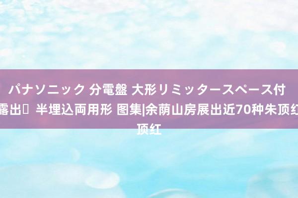 パナソニック 分電盤 大形リミッタースペース付 露出・半埋込両用形 图集|余荫山房展出近70种朱顶红