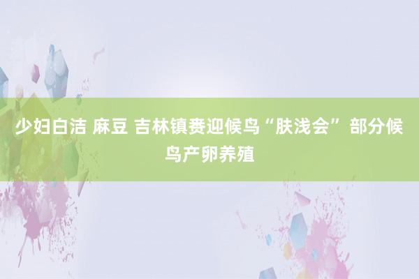 少妇白洁 麻豆 吉林镇赉迎候鸟“肤浅会” 部分候鸟产卵养殖