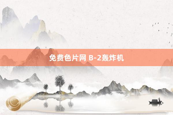 免费色片网 B-2轰炸机