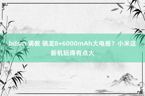 bdsm 调教 骁龙8+6000mAh大电板？小米这新机玩得有点大