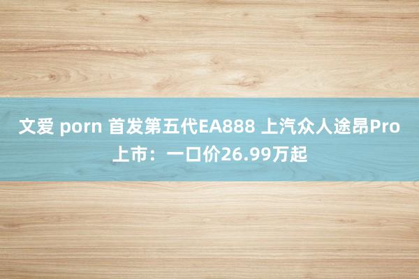 文爱 porn 首发第五代EA888 上汽众人途昂Pro上市：一口价26.99万起